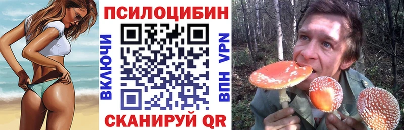 что такое наркотик  Шимановск  Псилоцибиновые грибы ЛСД 